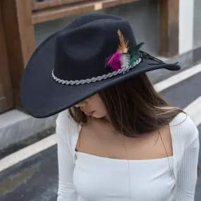 Black Feather Rhinestone Paved Twisted Band Accented Fedora Hat